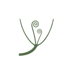 Massage en healing